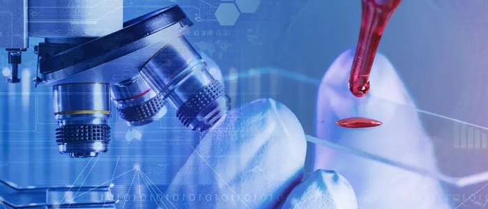 凯发K8国际网络+银丰生物集团 打造科研创新“加速度”